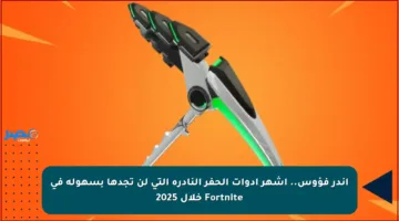 أندر فؤوس.. أشهر أدوات الحفر النادرة التي لن تجدها بسهولة في Fortnite خلال 2025
